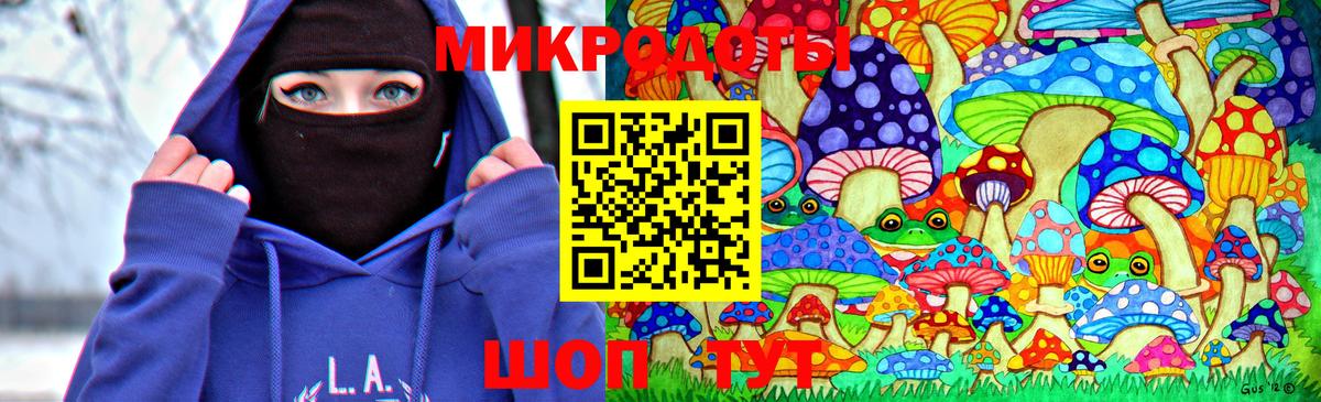 Псилоцибиновые грибы Psilocybe Кандалакша