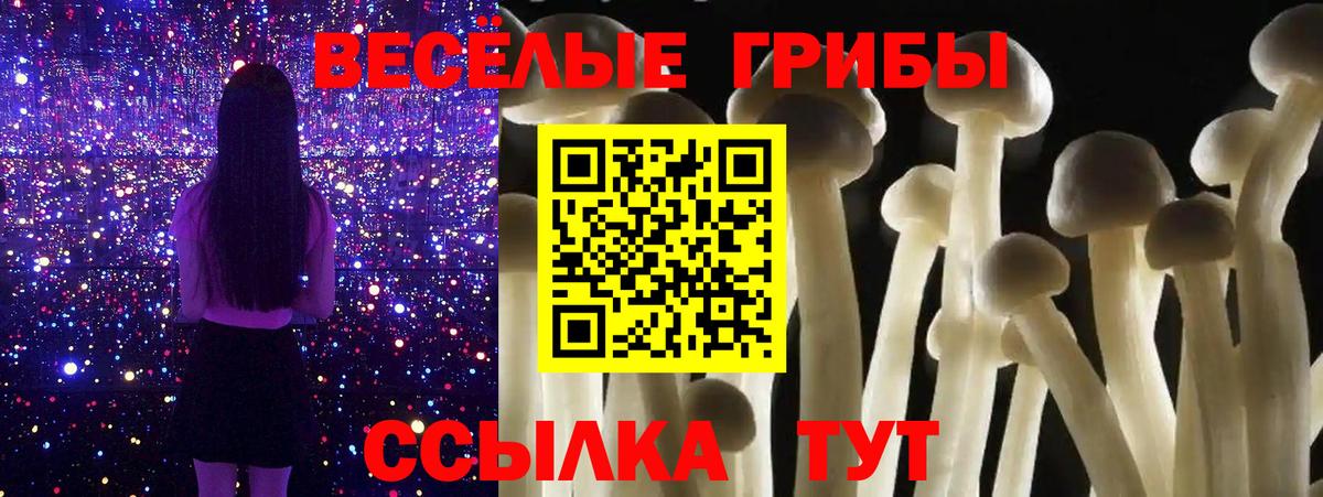 Кандалакша  Галлюциногенные грибы GOLDEN TEACHER  Вход с VPN  Галлюциногенные грибы Magic Shrooms 
